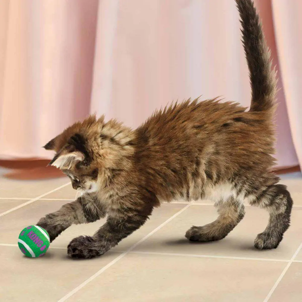 Kong Kattelegetøj Active Tennisbolde med klokker Ø4 cm